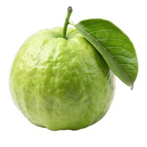 Guava