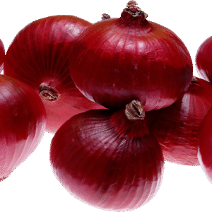 Onion