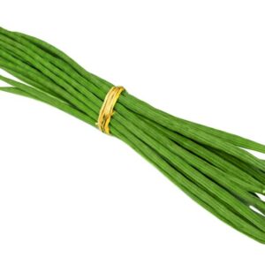 drumstick