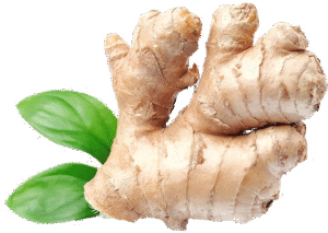 ginger