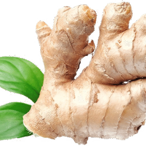 ginger
