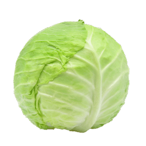 Cabbage
