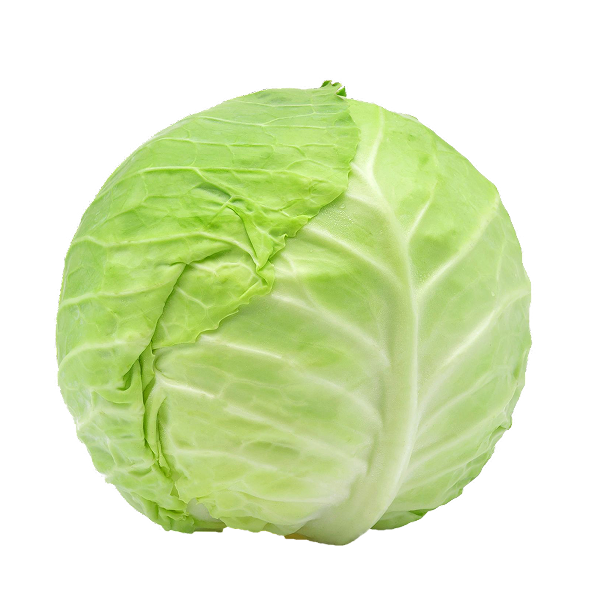 Cabbage