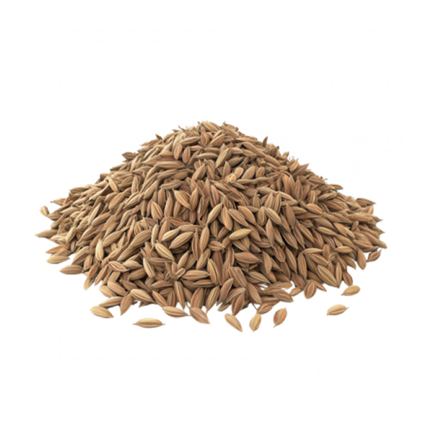 Cumin