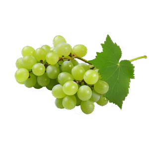 Grapes