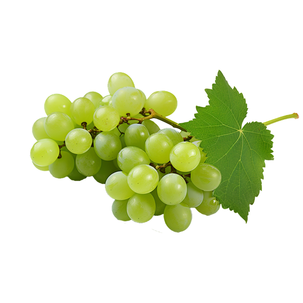 Grapes