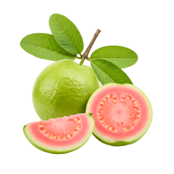 Guava