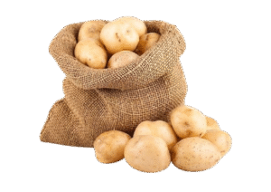 Potato