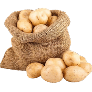 Potato
