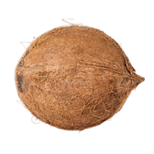Coconut