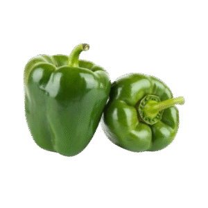 Capsicum