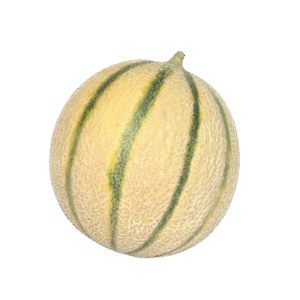 Muskmelon