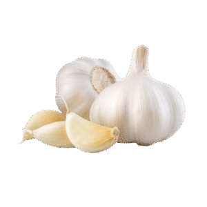 Garlic